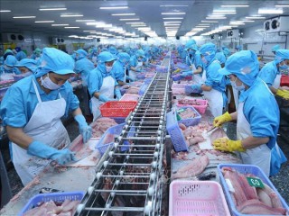 Tăng cường năng lực phòng vệ thương mại cho các ngành sản xuất trong nước