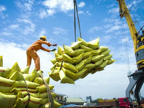 Ba tháng đầu năm, xuất khẩu gạo của Việt Nam tăng khoảng 42%