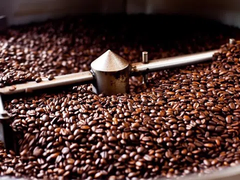 Giá xuất khẩu cà phê quý I/2024 tăng 48%, cao nhất trong vòng 30 năm