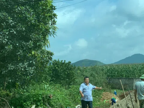 Góc khuất trong việc bán rừng 327 ở Lục Ngạn - Bắc Giang