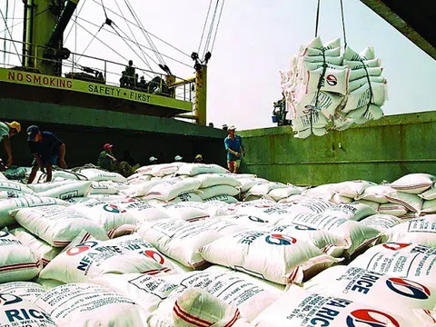 Công khai, minh bạch trong đăng ký để bảo đảm hài hòa lợi ích trong xuất khẩu gạo