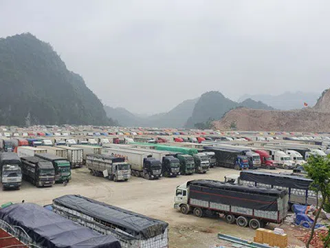 Lạng Sơn đề xuất tạm dừng nhận hàng hóa lên cửa khẩu Tân Thanh