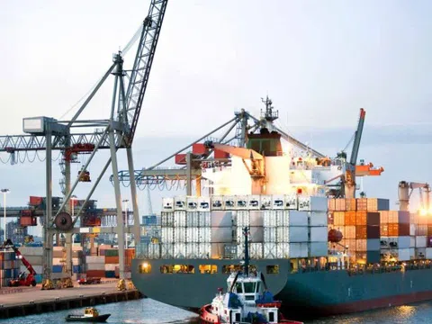 Việt Nam đứng thứ 3 ASEAN về tuyến dịch vụ vận chuyển container quốc tế