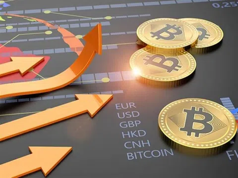 Dòng tài sản mã hóa vào Việt Nam lên đến 120 tỉ USD