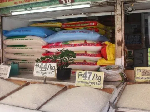 Philippines sẽ cắt giảm thuế nhập khẩu gạo từ mức 35% xuống còn 15%, doanh nghiệp Việt được lợi