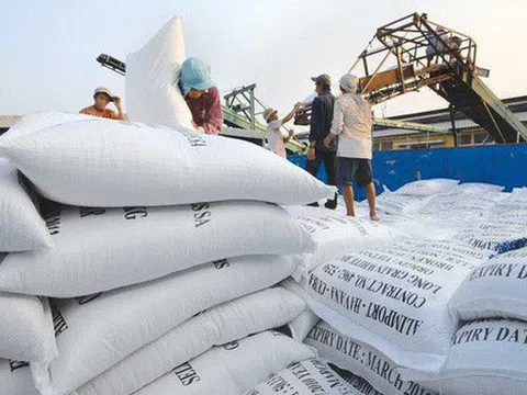 Philippines giảm thuế nhập khẩu gạo gây áp lực với giá gạo xuất khẩu của Việt Nam?