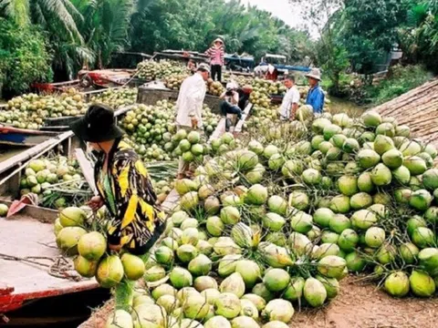 Đông Bắc Á là thị trường chiến lược của rau quả Việt Nam