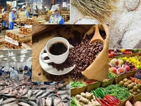 EU đặt ra hàng loạt thách thức mới cho doanh nghiệp xuất khẩu