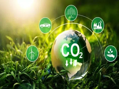 Cơ hội và thách thức cho Việt Nam khi tham gia thị trường carbon