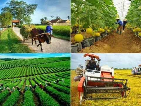Năm 2024, cả nước thành lập mới gần 2.000 HTX
