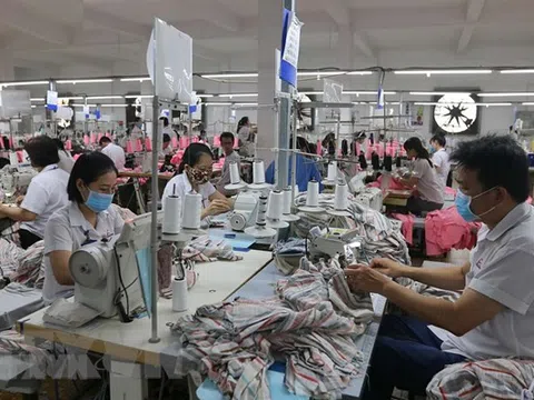 Xuất khẩu hàng Việt sang EU: Cần chiến lược căn cơ, bài bản
