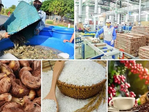 Xuất siêu nông lâm thủy sản đạt khoảng 5,18 tỷ USD