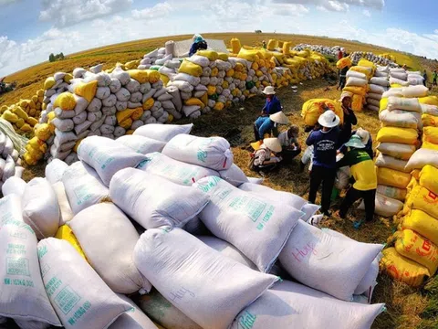 Senegal - thị trường tiềm năng cho hàng xuất khẩu của Việt Nam