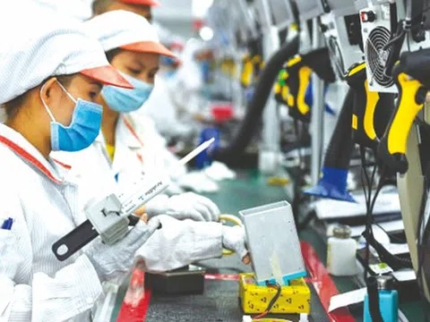 81% doanh nghiệp Việt vẫn tự tin về tăng trưởng tại thị trường quốc tế