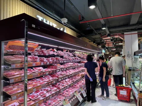 Nhập khẩu thịt tăng mạnh cả về lượng và trị giá