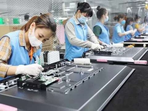 Hơn 111.800 doanh nghiệp thành lập mới và quay lại thị trường trong tháng Năm