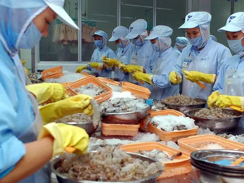 Lo ngại thuế quan, xuất khẩu thủy sản chững lại trong tháng 5