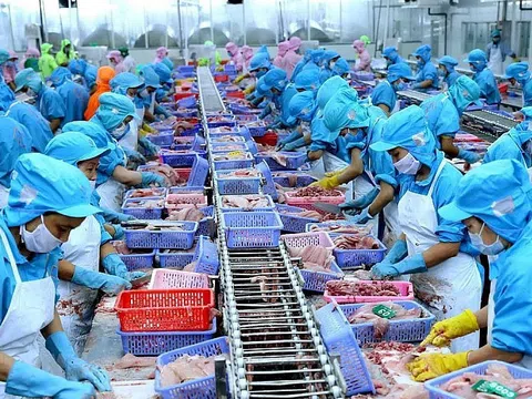VASEP kiến nghị bảo vệ ngành thủy sản trước nguy cơ thuế quan