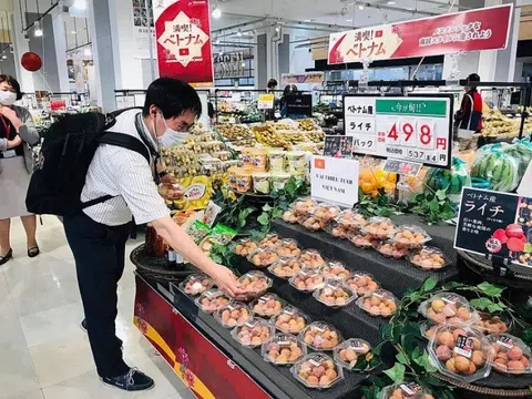 Gia tăng giá trị cho hàng Việt xuất khẩu sang Nhật Bản