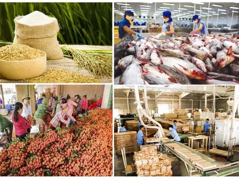 Xuất khẩu nông, lâm, thuỷ sản tăng 15,5%