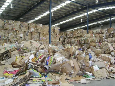 Quy định EPR mang đến nhiều cơ hội cho doanh nghiệp ngành giấy