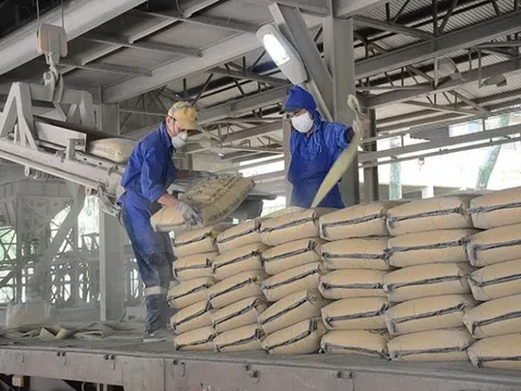 10 doanh nghiệp Bộ Xây dựng nửa đầu năm đạt 29.914 tỷ đồng giá trị sản xuất kinh doanh