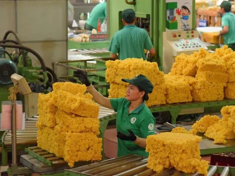 Thách thức từ chuỗi cung ứng cao su tiểu điền