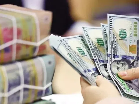 Lượng kiều hối chuyển về TP. Hồ Chí Minh tăng đều qua các giai đoạn
