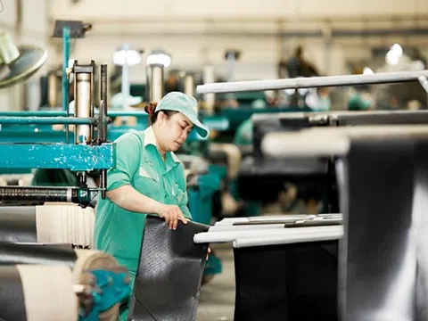 IMF hạ dự báo tăng trưởng GDP Việt Nam 2025 xuống 6,5%