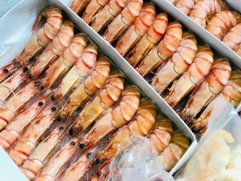 VASEP: Dự báo xuất khẩu tôm Việt sang EU duy trì mức tăng từ 12 - 15%