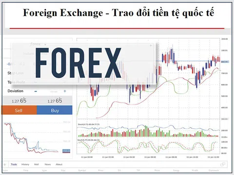 Công an Hà Nội cảnh báo về kinh doanh hình thức sàn giao dịch vàng, ngoại hối (Forex)