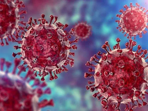 Thủ tướng chỉ đạo chủ động kiểm soát biến chủng mới Omicron của virus SARS-CoV-2
