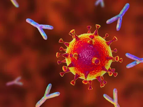 Nóng: FDA cấp phép sử dụng khẩn cấp hỗn hợp kháng thể đơn dòng ngừa Covid-19