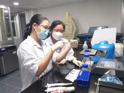 Việt Nam chế tạo thành công cảm biến phát hiện bất thường ở thai nhi