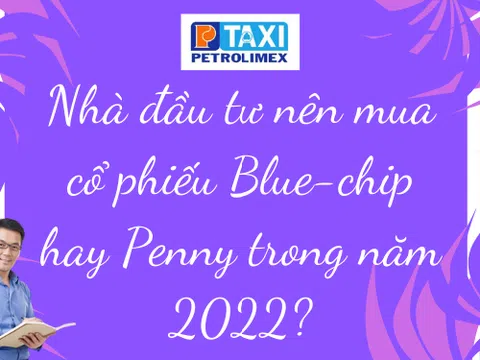 Nhà đầu tư nên mua cổ phiếu Blue-chip hay Penny trong năm 2022?