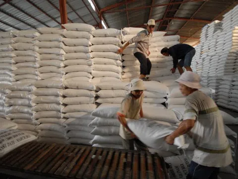 Năm 2022, dự báo xuất khẩu gạo của Việt Nam vẫn đạt 6 - 6,2 triệu tấn