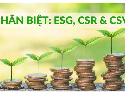 ESG, CSR & CSV - Doanh nghiệp nên chọn yếu tố nào để bước đi bền vững
