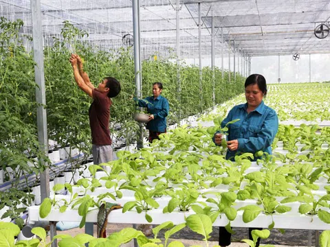 Ngành nông nghiệp Hà Nội ghi nhận tốc độ tăng trưởng cao