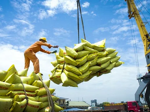 Giá gạo Việt xuất khẩu sắp vượt mốc 600 USD/tấn