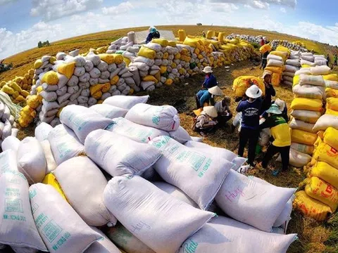 9 tháng năm 2023, xuất khẩu gạo đạt 3,66 tỷ USD, tăng 40,4%