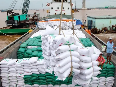 Xuất khẩu gạo thu về gần 4 tỷ USD trong 10 tháng