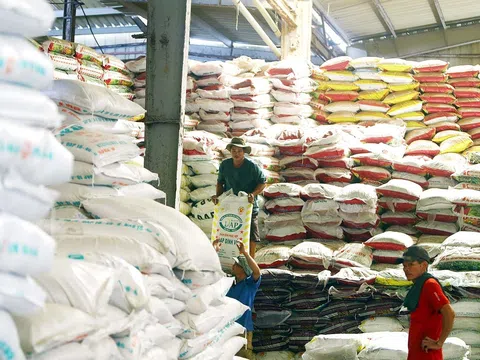 Nguồn cung dư thừa, DN phân bón tìm giải pháp gia tăng xuất khẩu