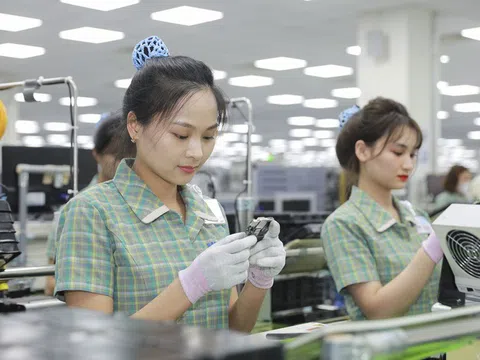 Công bố Top 500 doanh nghiệp lớn nhất Việt Nam năm 2024