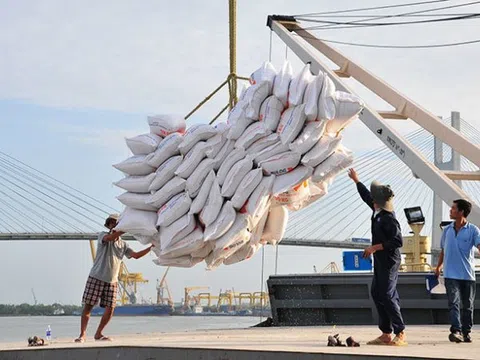Nông sản Việt và tiềm năng lớn tại thị trường Nhật Bản