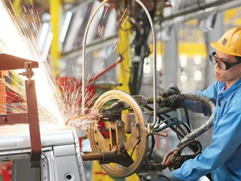 Chỉ số BCI Quý 3 năm 2025 của doanh nghiệp châu Âu tại Việt Nam tăng lên 66,5 điểm