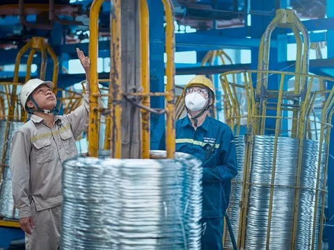 Thép dây mạ kẽm Hòa Phát hưởng thuế thấp hơn các doanh nghiệp khác 27 lần