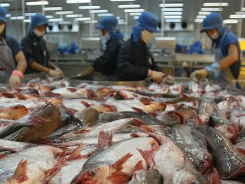 Cổ phiếu HVG của ‘vua cá tra' Hùng Vương bị huỷ niêm yết bắt buộc từ ngày 5/8