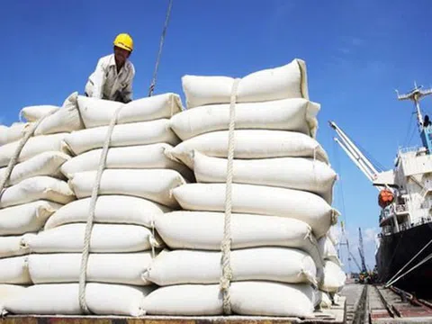 80.000 tấn gạo miễn thuế vào EU được phân bổ hạn ngạch ra sao?