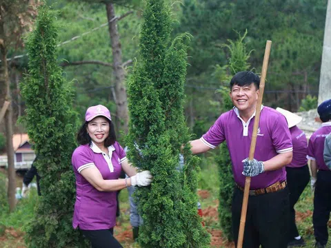 TTC Lâm Đồng trồng 1.000 cây xanh mừng Ngày Quốc khánh