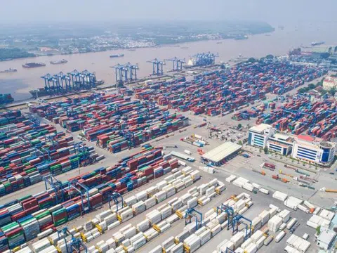 Tại sao phải tái xuất hơn 1.000 container tại cảng Cát Lái?